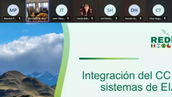 Reunión virtual mesa de trabajo 4 - Chile