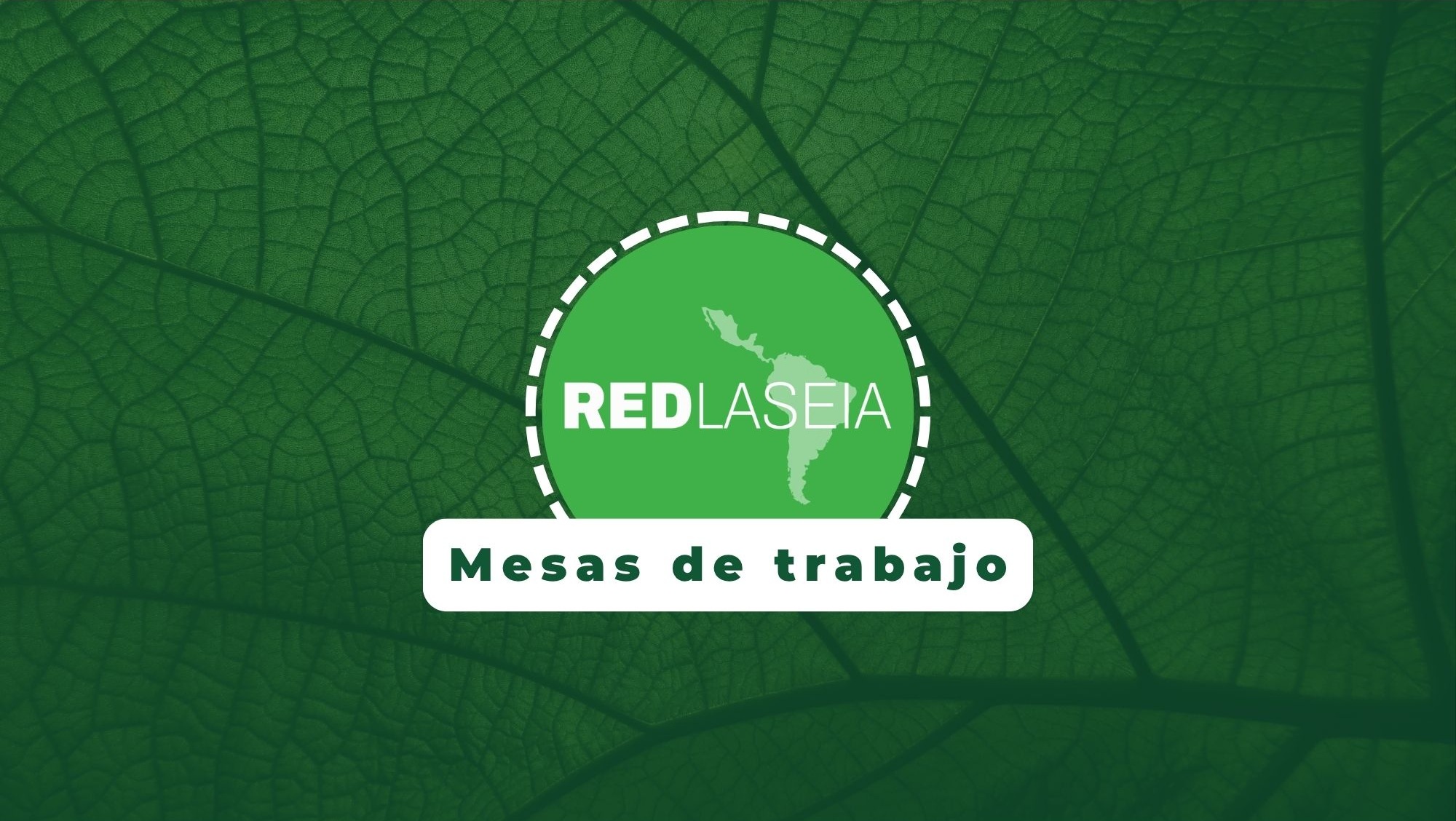 Banner Evento RedLaseia